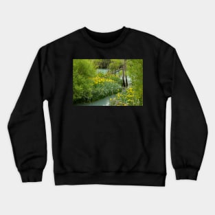 Yellow Bog iris. Crewneck Sweatshirt